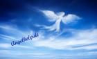 Www. angelhelp de Das Portal der Neuen Zeit